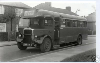 London Bus 251