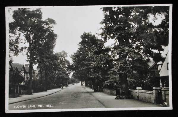 Flower Lane